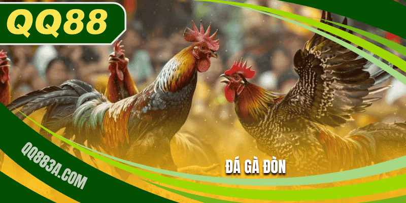 Đá Gà Đòn QQ88